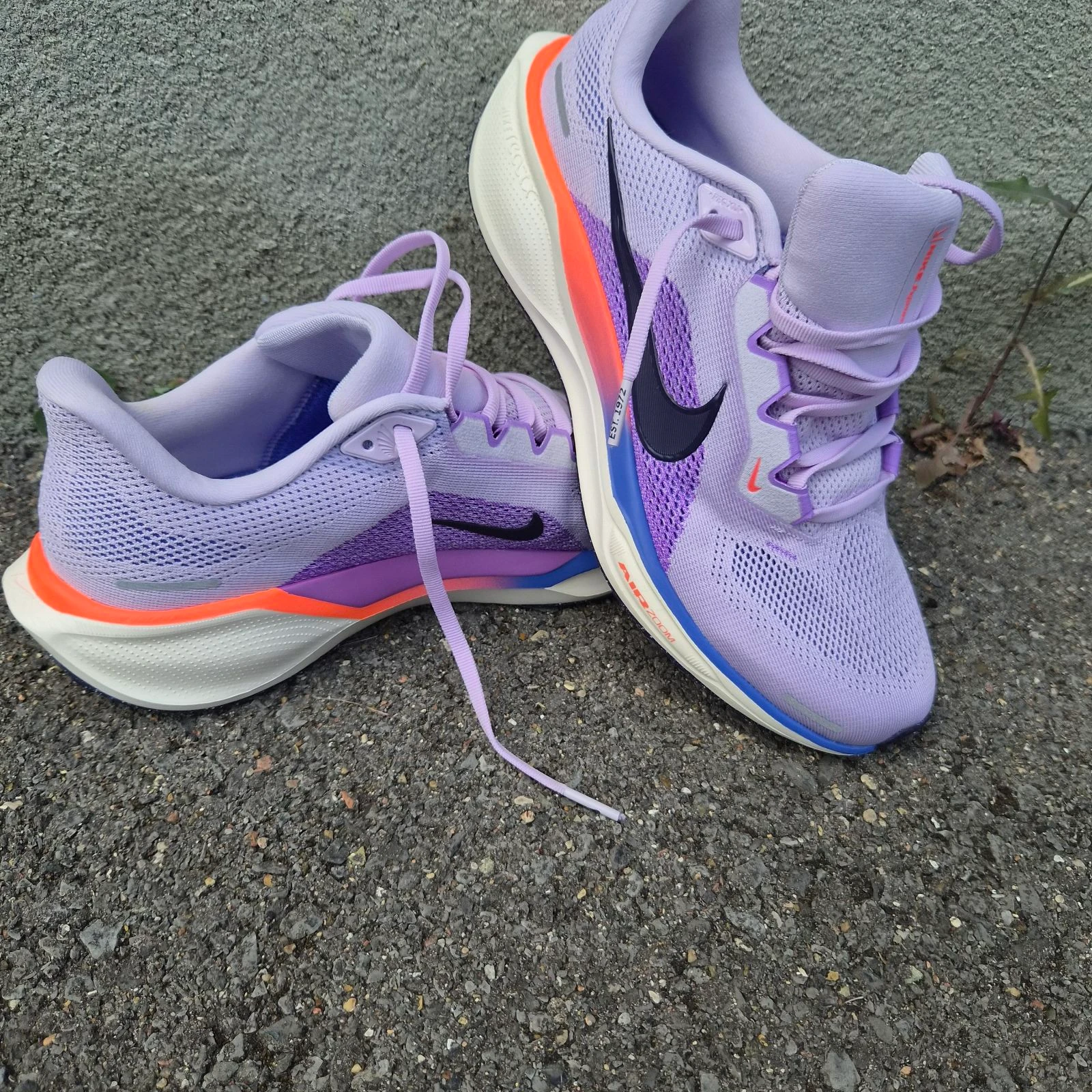 Nike pegasus 41
